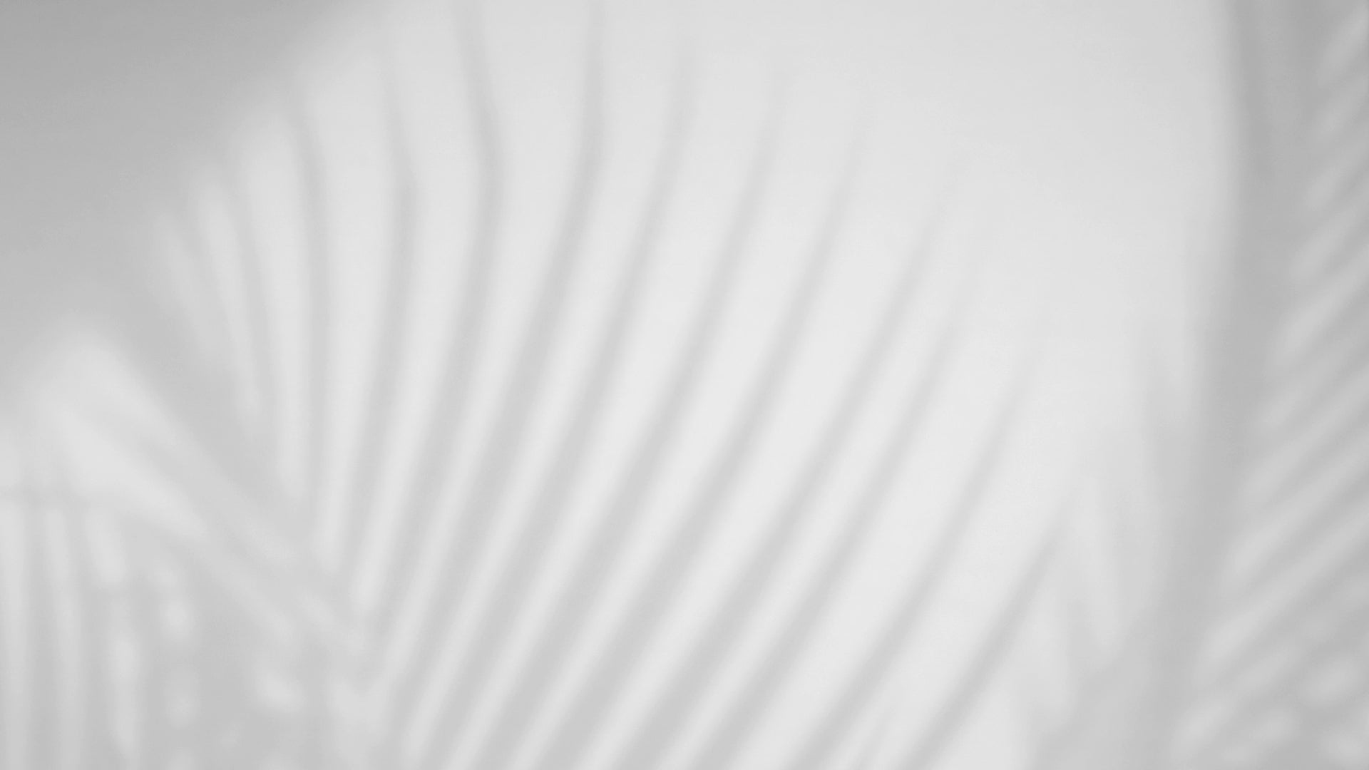 Charger la vidéo : 